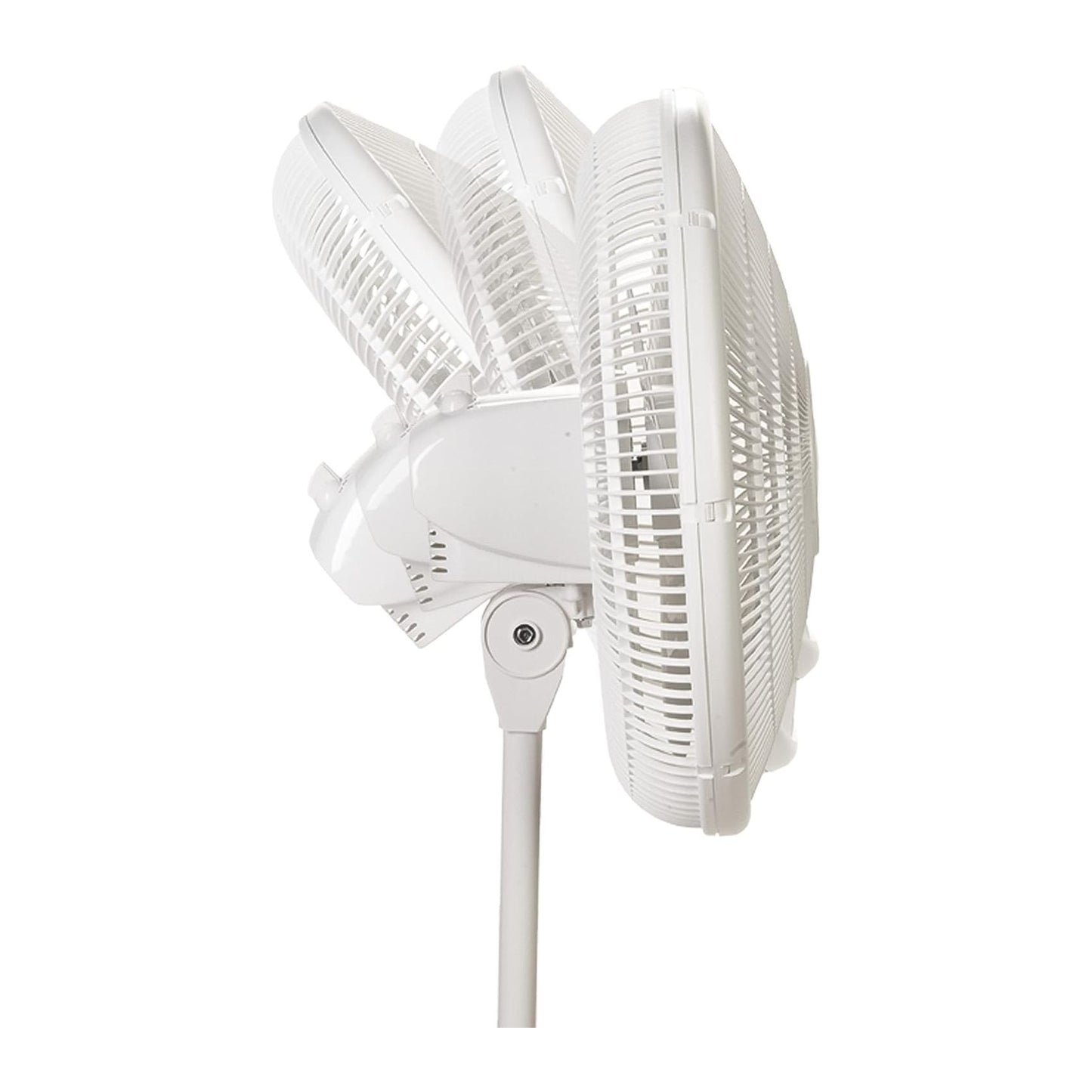Lasko 2520 Oscillating Stand Fan,White 16 Inch White