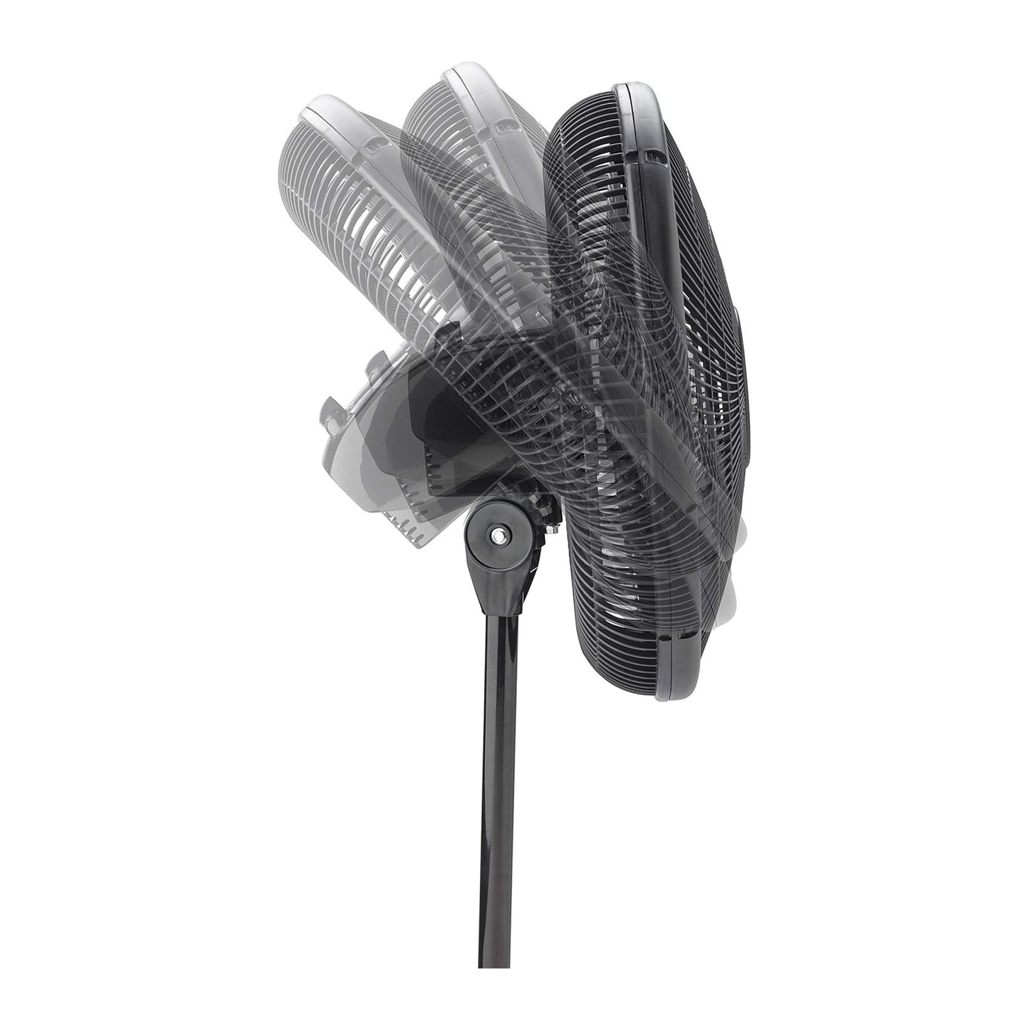 Lasko 2521 Oscillating Stand Fan,White 16 Inch Black