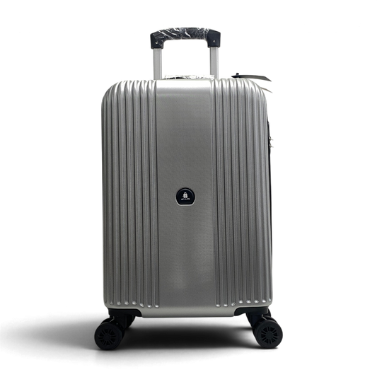 Hard Luggage Silver Small 20"